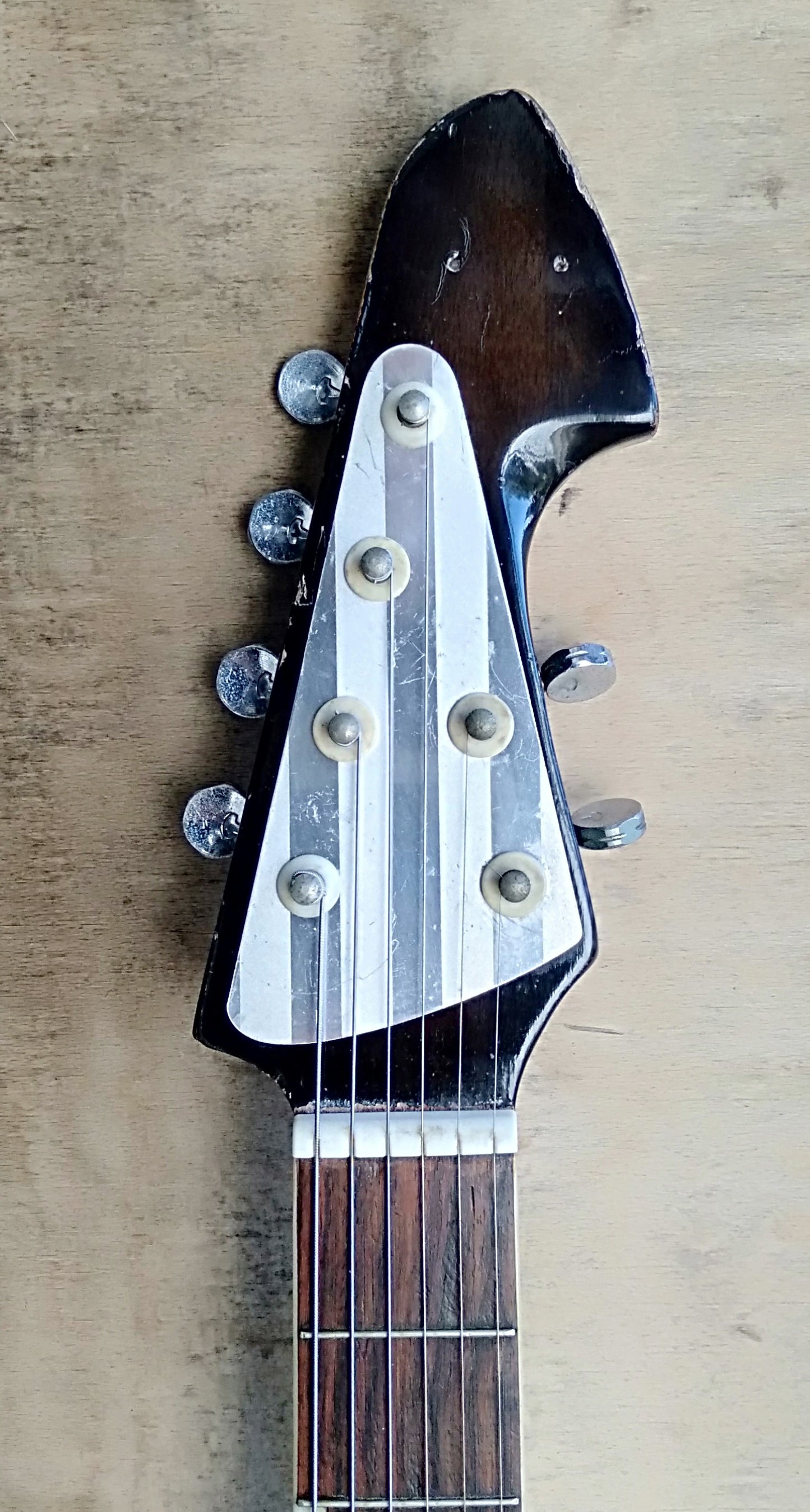 Teisco TG-64 1965/66