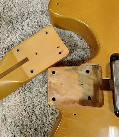 Profile Tele. 1980's